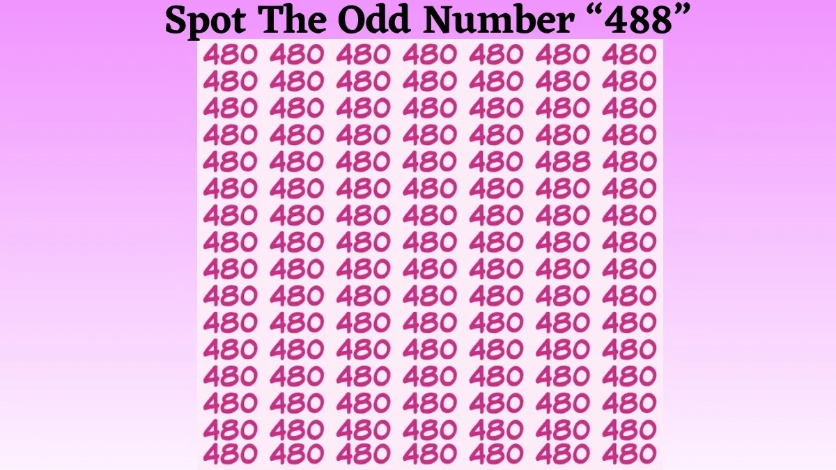 Only Those Who Possess 20/20 Eye Vision Can Spot The Odd Number “488” Among The “480” Sequence Series